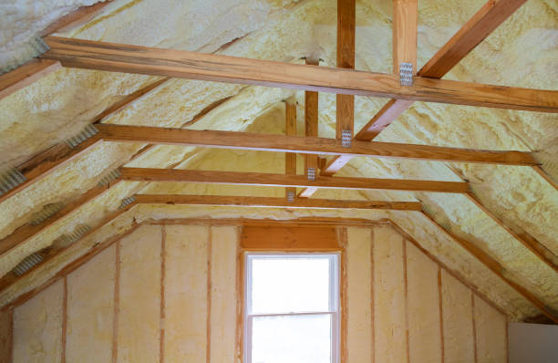 Best Affordable Insulation Services  in USA